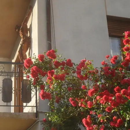 Bed & Breakfast Sol Fiori 3*