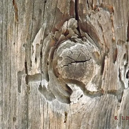 Bed & Breakfast Sol Fiori Agordo