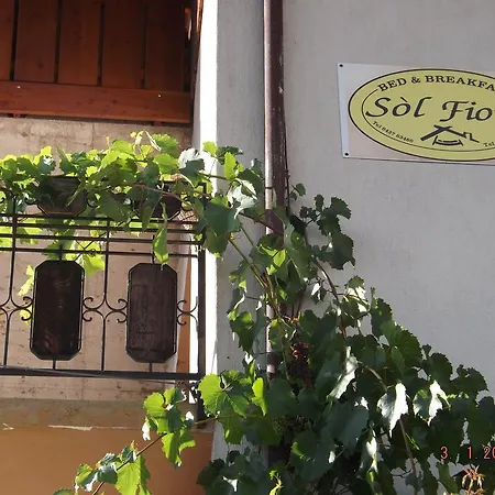Bed & Breakfast Sol Fiori