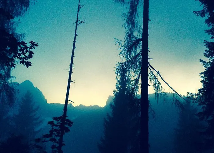 Sol Fiori Агордо