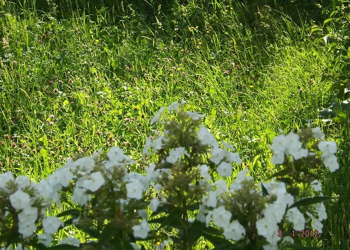 Sol Fiori Отель типа 